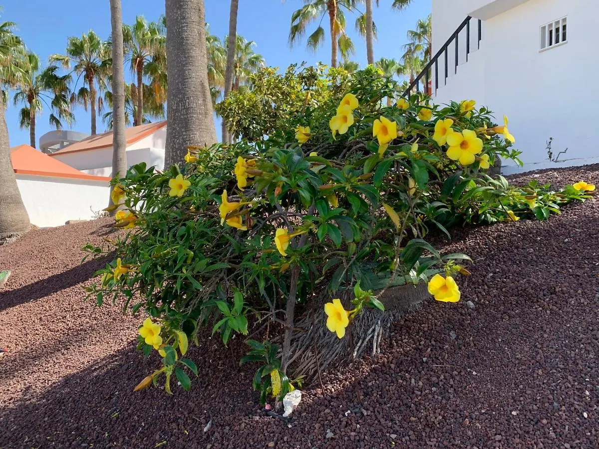 Aminas Ferienwohnung Fuerteventura Costa Calma Apartment